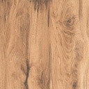 CARRELAGE SOL - 60X60 - C/1.44M² - SHERWOOD